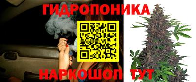 ГАЛЛЮЦИНОГЕННЫЕ ГРИБЫ Кунгур